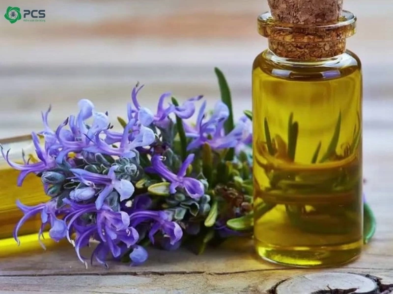 Cách đuổi gián trong phòng ngủ 